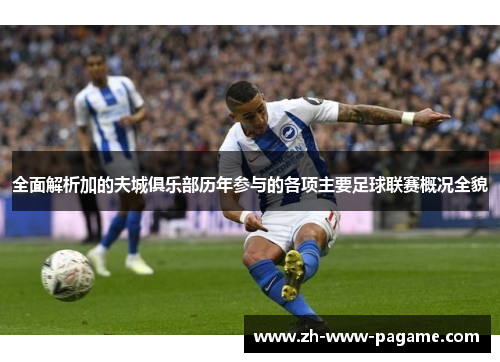 全面解析加的夫城俱乐部历年参与的各项主要足球联赛概况全貌