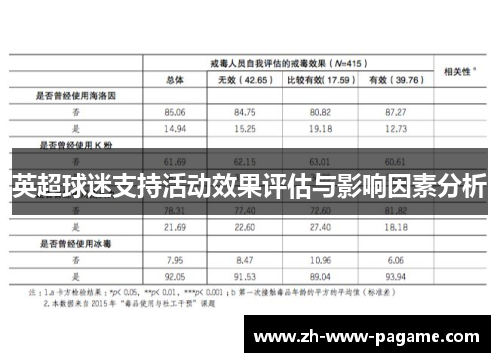 英超球迷支持活动效果评估与影响因素分析 英超球迷支持活动效果评估与影响因素分析