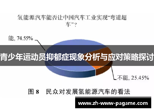 青少年运动员抑郁症现象分析与应对策略探讨